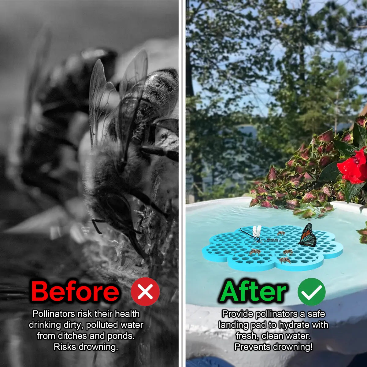 Before and after comparison of a bee drinking from dirty water and a butterfly on a clean water source and a blue flower-shaped bee pontoon (bee watering station) with flowers.