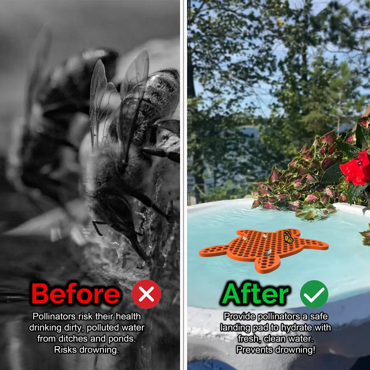Before and after comparison of a bee drinking from dirty water and an orange turtle-shaped bee pontoon (bee watering station) with flowers and water.