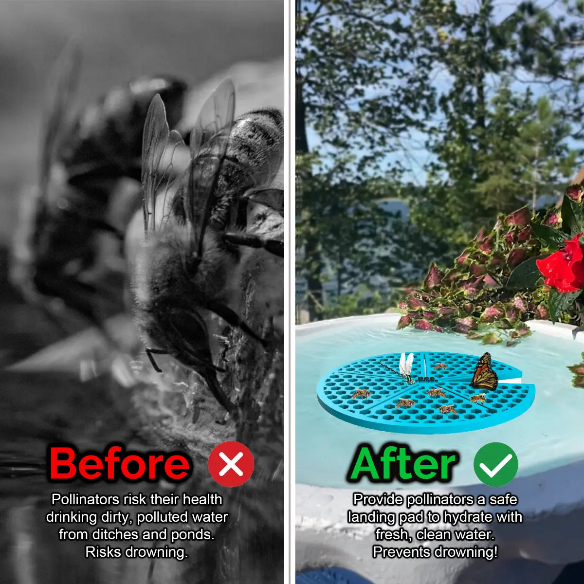 Before and after comparison of a bee drinking from dirty water and a butterfly on a clean water source and a blue lilypad-shaped bee pontoon (bee watering station) with flowers.
