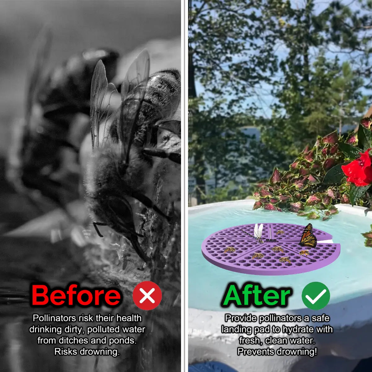Before and after comparison of a bee drinking from dirty water and a butterfly on a clean water source and a purple lilypad-shaped bee pontoon (bee watering station) with flowers.