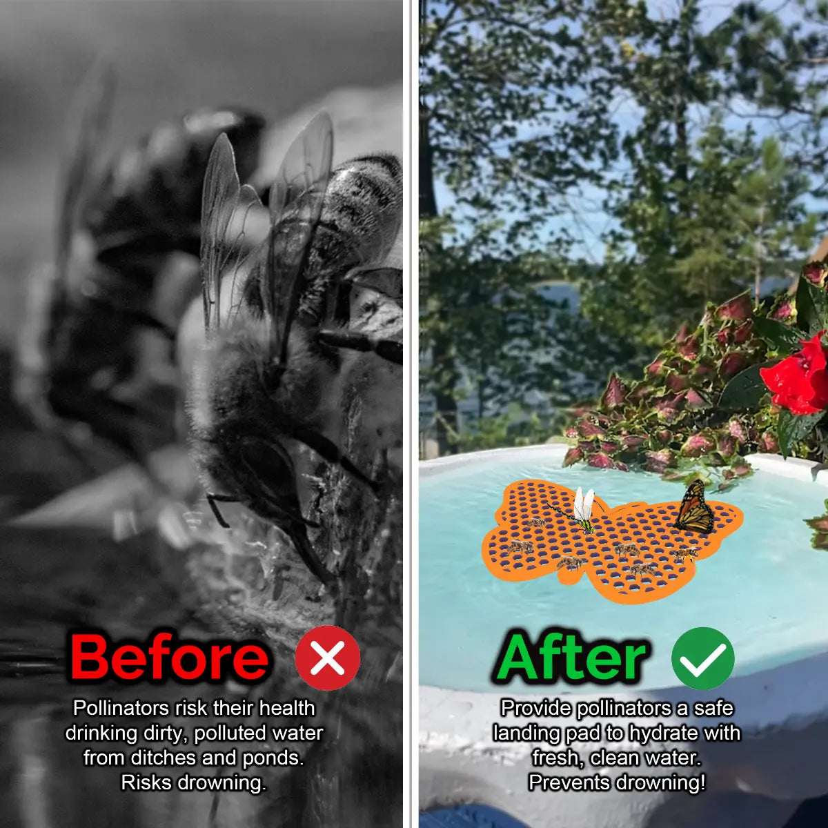Before and after comparison of a bee drinking from dirty water and a butterfly on a clean water source and an orange butterfly-shaped bee pontoon (bee watering station) with flowers.