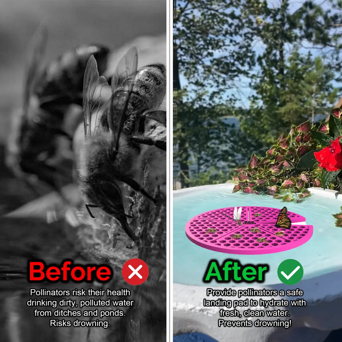 Before and after comparison of a bee drinking from dirty water and a butterfly on a clean water source and a pink lilypad-shaped bee pontoon (bee watering station) with flowers.