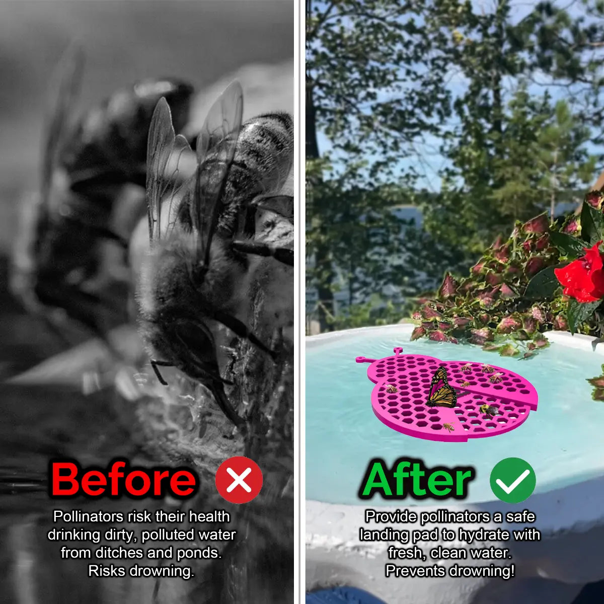 Before and after comparison of a bee drinking from dirty water and a butterfly on a clean water source and a pink ladybug-shaped bee pontoon (bee watering station) with flowers.