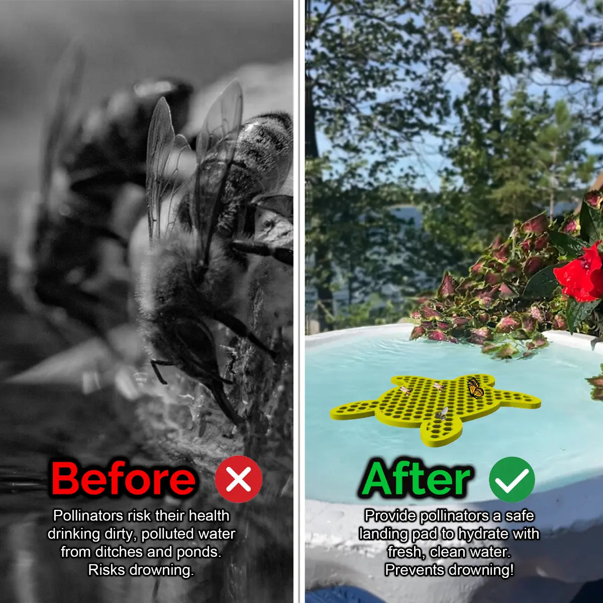 Before and after comparison of a bee drinking from dirty water and a butterfly on a clean water source and a yellow turtle-shaped bee pontoon (bee watering station) with flowers.