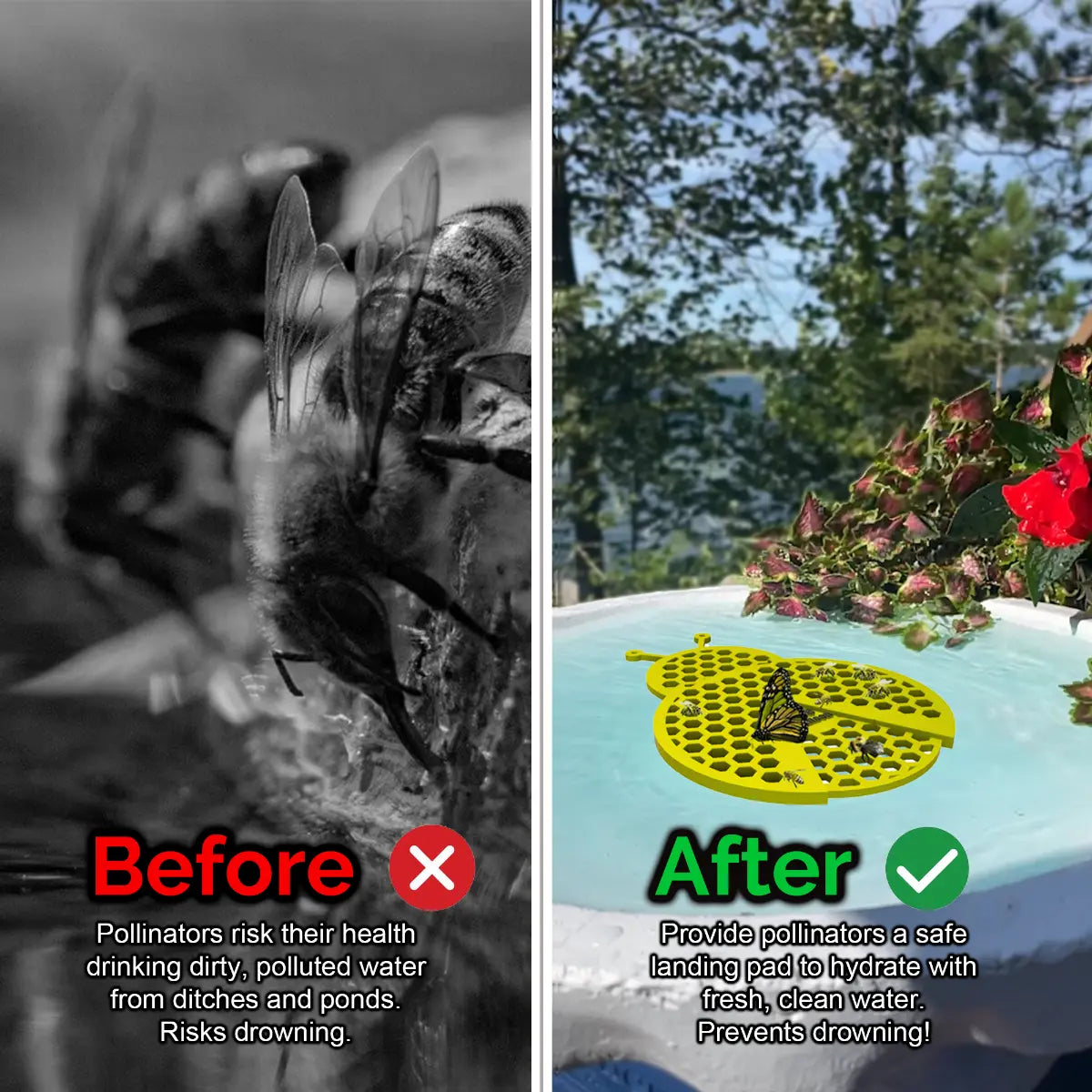 Before and after comparison of a bee drinking from dirty water and a butterfly on a yellow, ladybug-shaped bee pontoon (bee watering station) with flowers in the background.