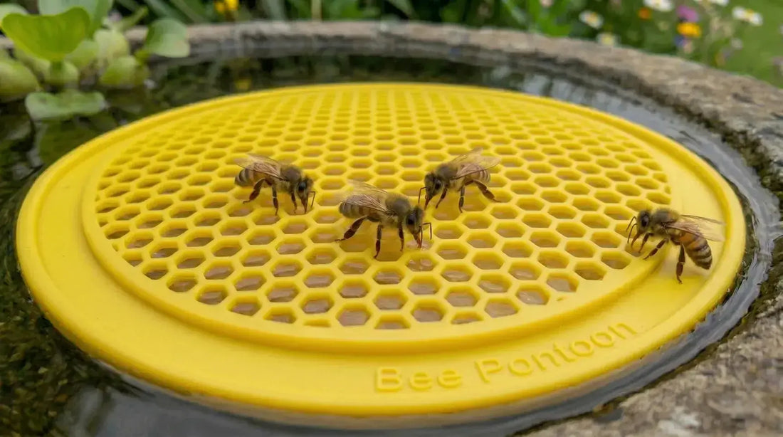 Macro view of honeybees safely hydrating on a yellow Bee Pontoon (bee watering station) in a garden, demonstrating safe placement away from human traffic.