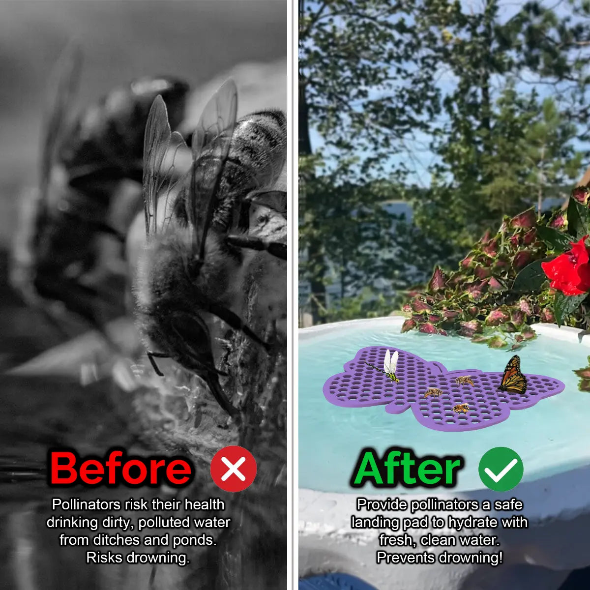 Before and after comparison of a bee drinking from dirty water and a butterfly on a clean water source and a purple batterfly-shaped bee pontoon (bee watering station) with flowers.