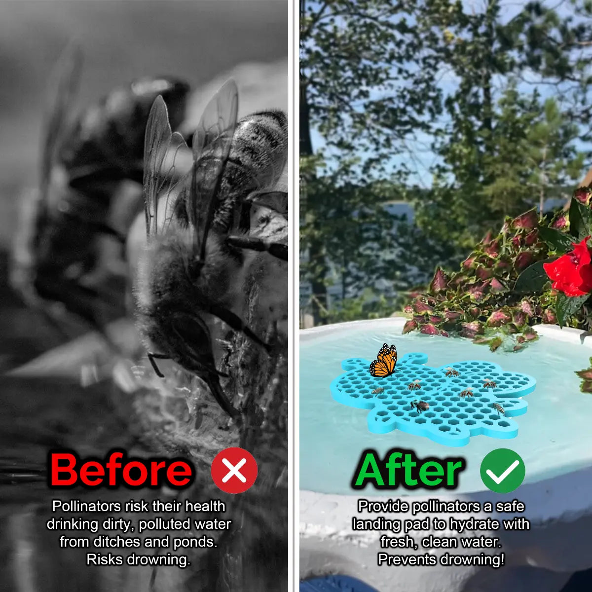 Before and after comparison of a bee drinking from dirty water and a butterfly on a clean water source and a blue honeybee-shaped bee pontoon (bee watering station) with flowers.