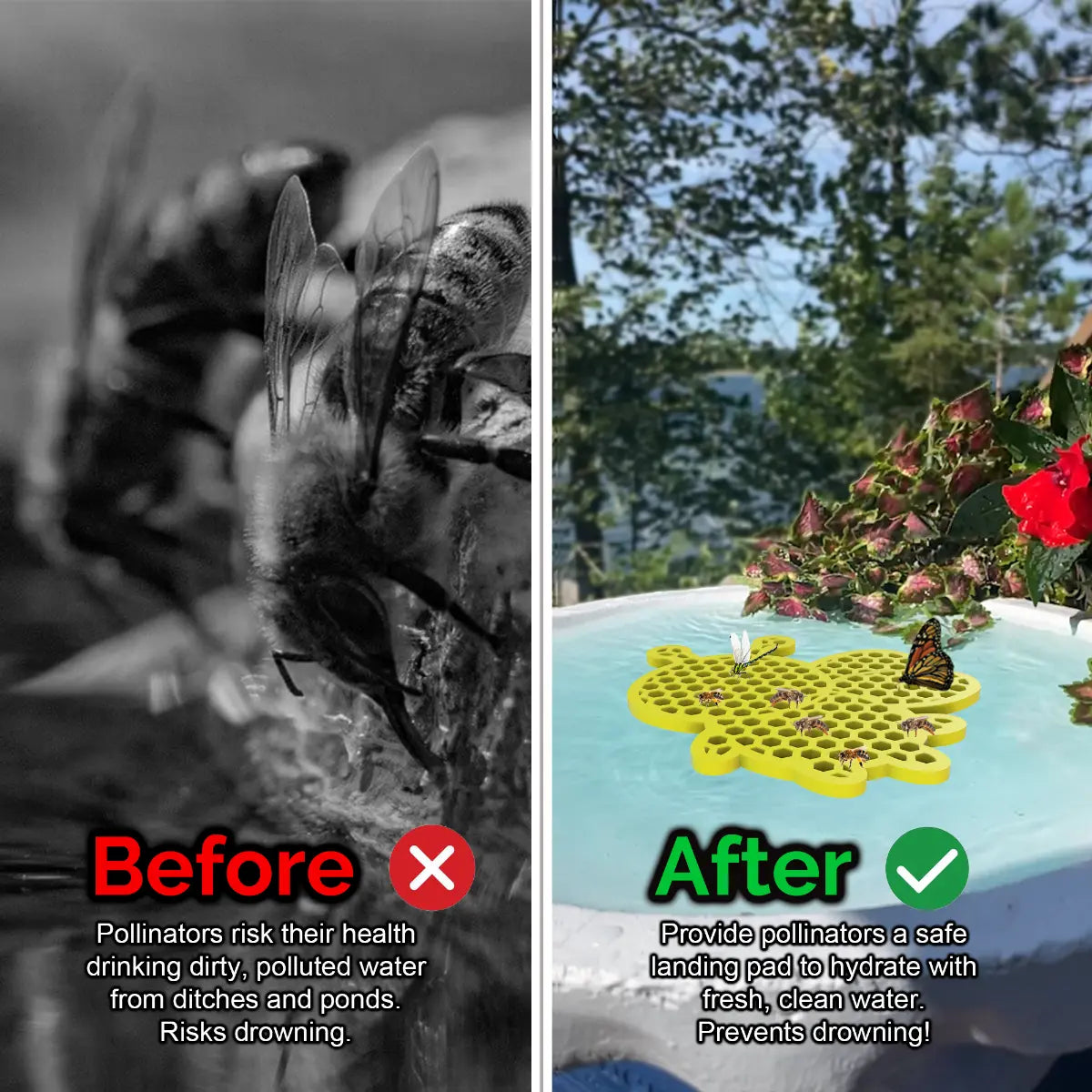 Before and after comparison of a bee drinking from dirty water and a butterfly on a yellow, honeybee-shaped bee pontoon (bee watering station) with flowers in the background.