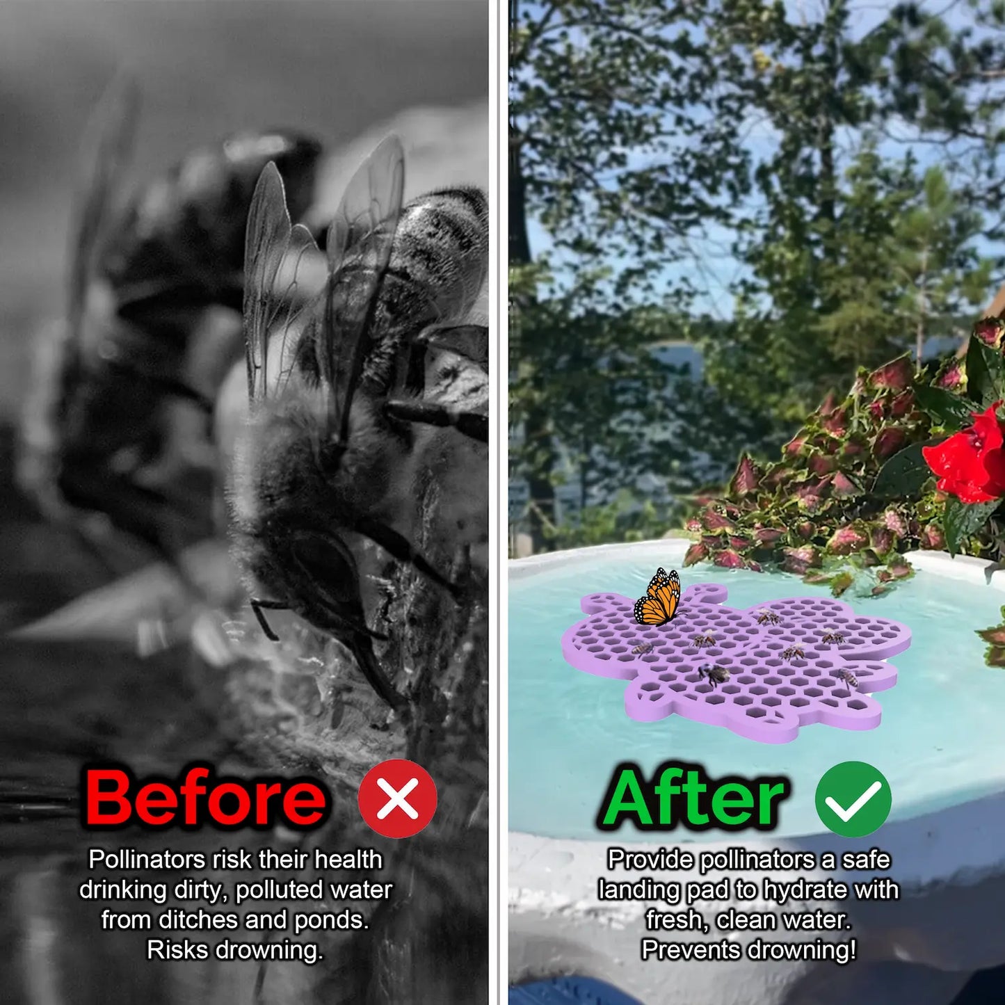 Before and after comparison of a bee drinking from dirty water and a butterfly on a clean water source and a purple honeybee-shaped bee pontoon (bee watering station) with flowers.