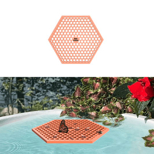 Orange hexagonal bee watering station (bee pontoon) with holes on a white background, followed by its use in a birdbath with plants and flowers.