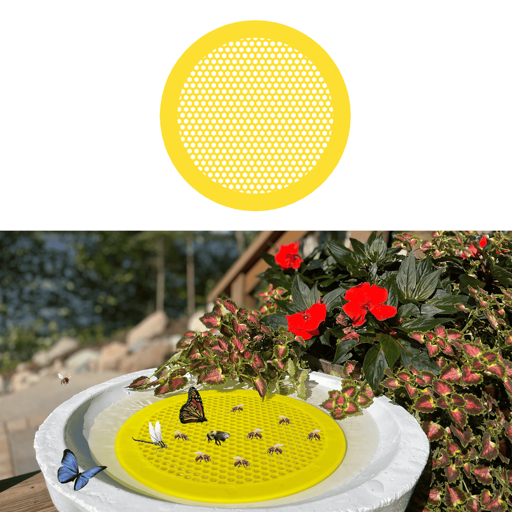 Yellow circular bee watering station (bee pontoon) on a white birdbath with flowers and butterflies in the background