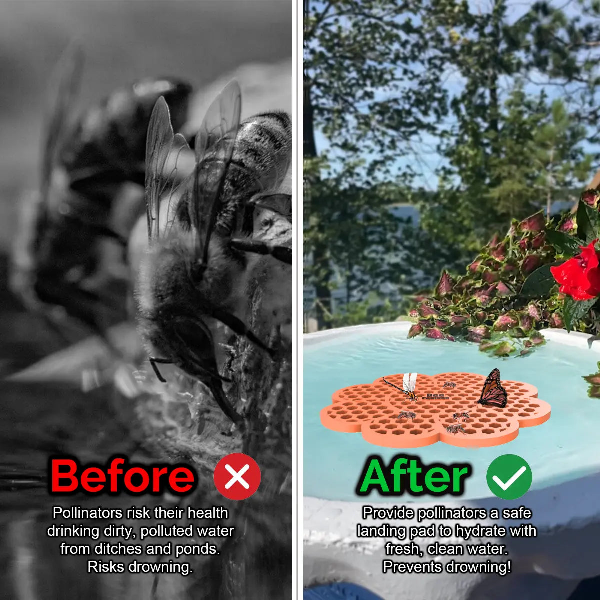 Before and after comparison of a bee drinking from dirty water and a butterfly on a clean water source and an orange flower-shaped bee pontoon (bee watering station) with flowers.