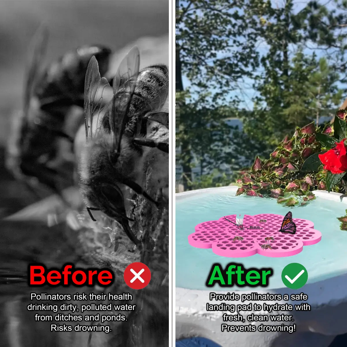 Before and after comparison of a bee drinking from dirty water and a butterfly on a clean water source and a pink flower-shaped bee pontoon (bee watering station) with flowers.