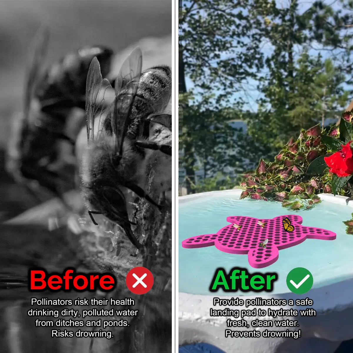 Before and after comparison of a bee drinking from dirty water and a butterfly on a clean water source and a pink turtle-shaped bee pontoon (bee watering station) with flowers.