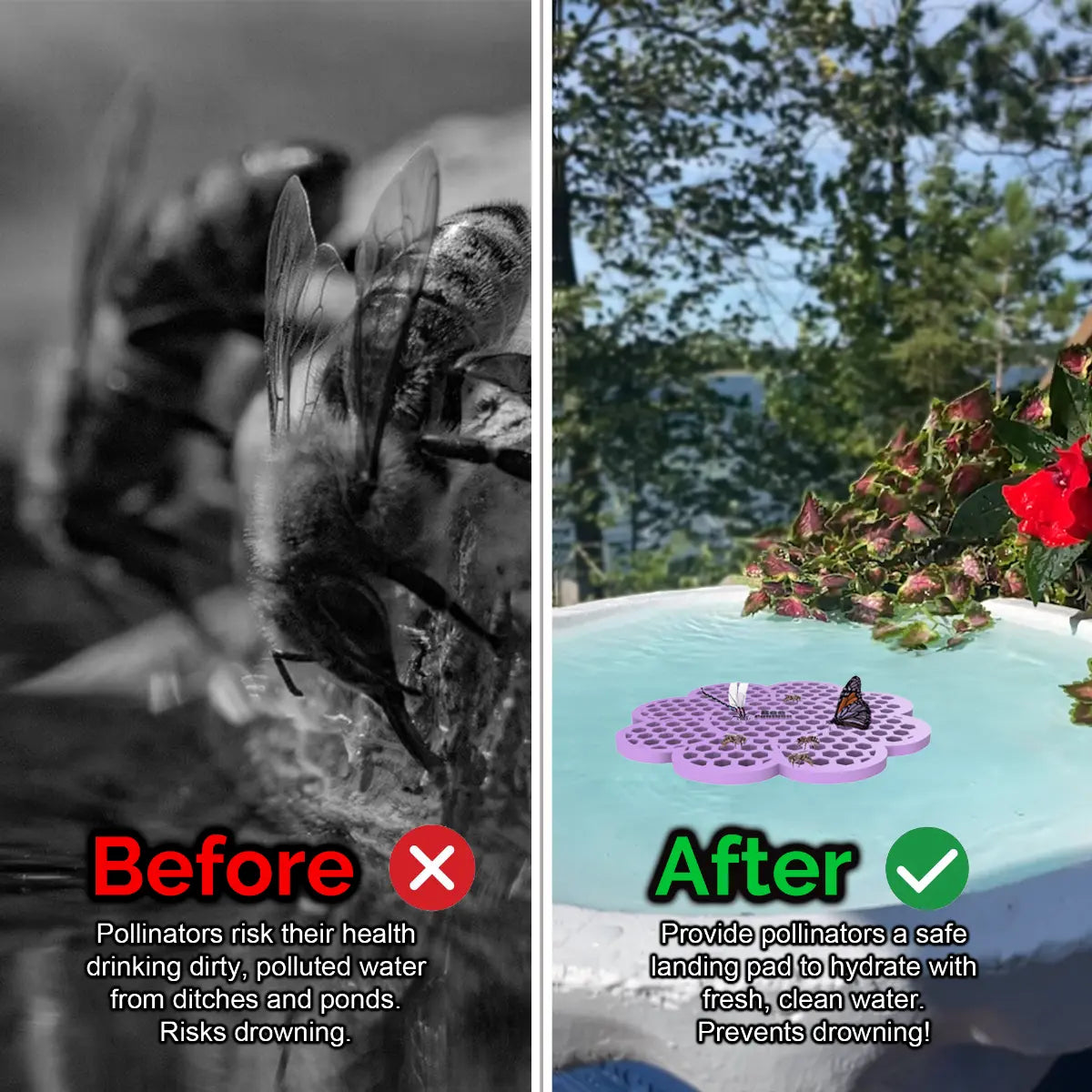 Before and after comparison of a bee drinking from dirty water and a butterfly on a clean water source and a purple flower-shaped bee pontoon (bee watering station) with flowers.