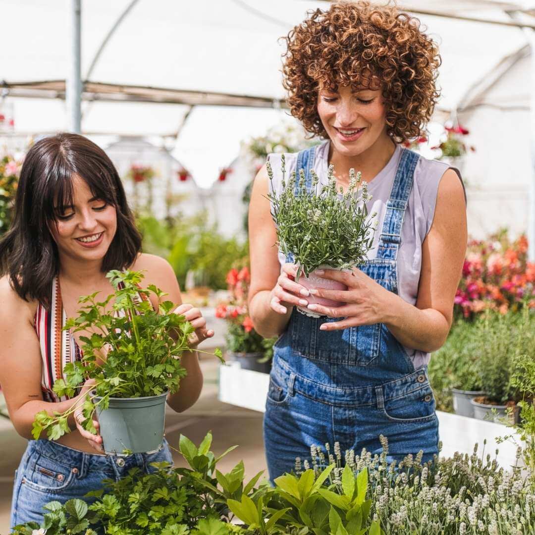 Two people in a garden center with plants.
