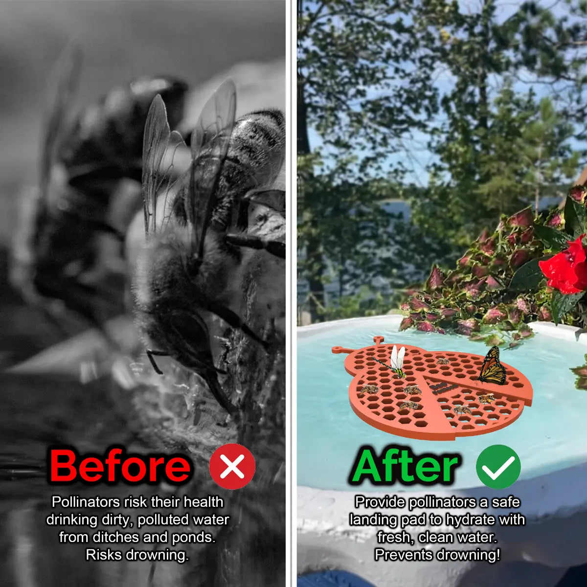 Before and after comparison of a bee drinking from dirty water and a butterfly on a clean water source and an orange ladybug-shaped bee pontoon (bee watering station) with flowers.