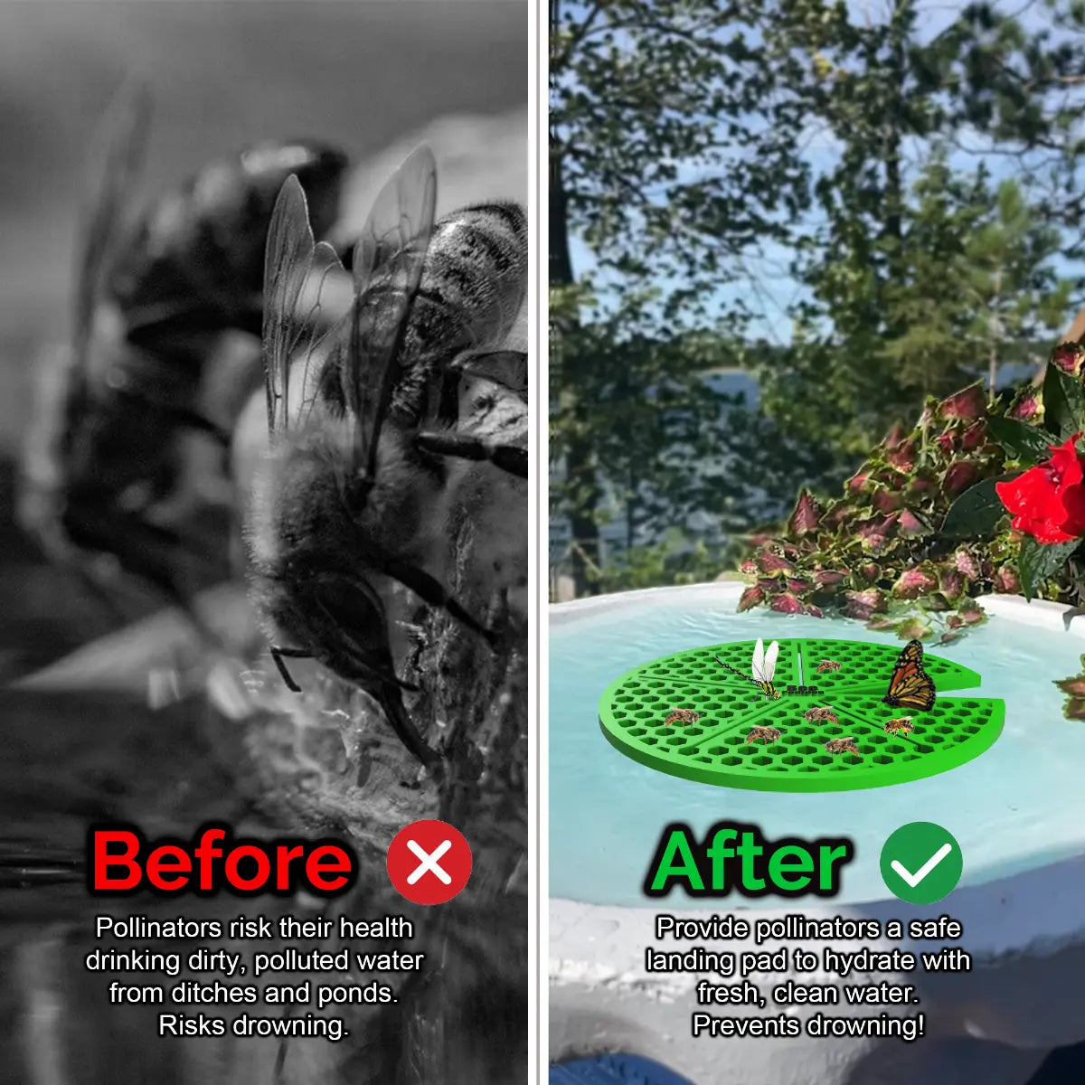 Before and after comparison of a bee drinking from dirty water and a butterfly on a clean water source and a green lilypad-shaped bee pontoon (bee watering station) with flowers.