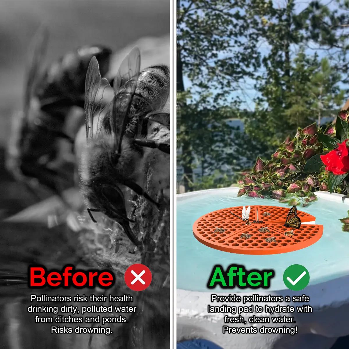 Before and after comparison of a bee drinking from dirty water and a butterfly on a clean water source and an orange lilypad-shaped bee pontoon (bee watering station) with flowers.