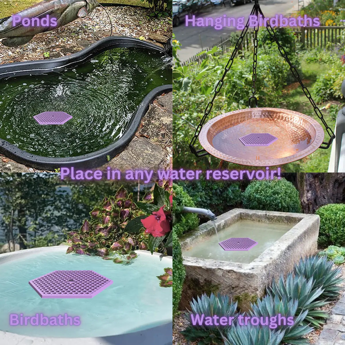 The artwork features a collage of various water reservoirs, each containing a purple honeycomb-shaped bee watering station, along with text labels.