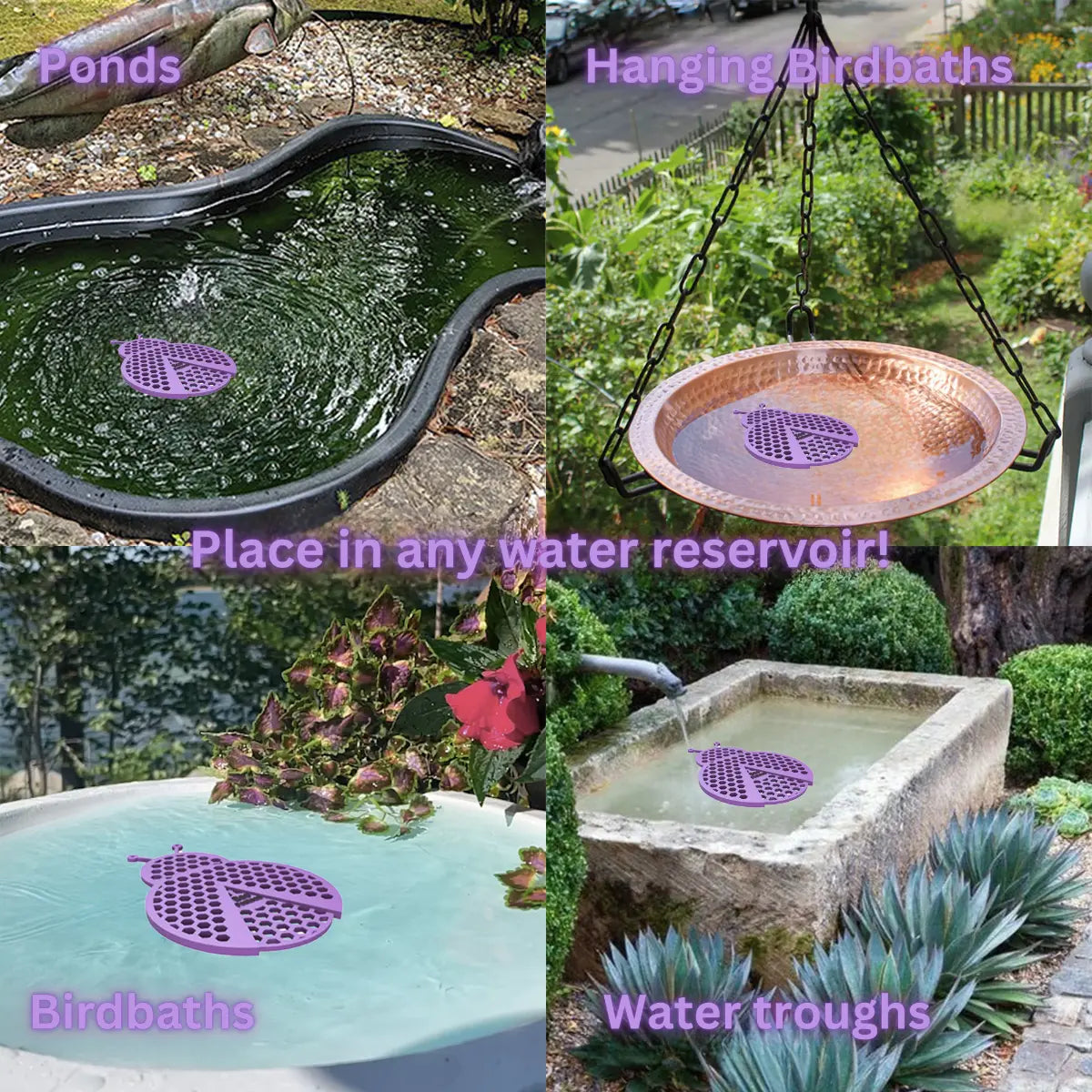 The artwork features a collage of various water reservoirs, each containing a purple ladybug-shaped bee watering station, along with text labels.