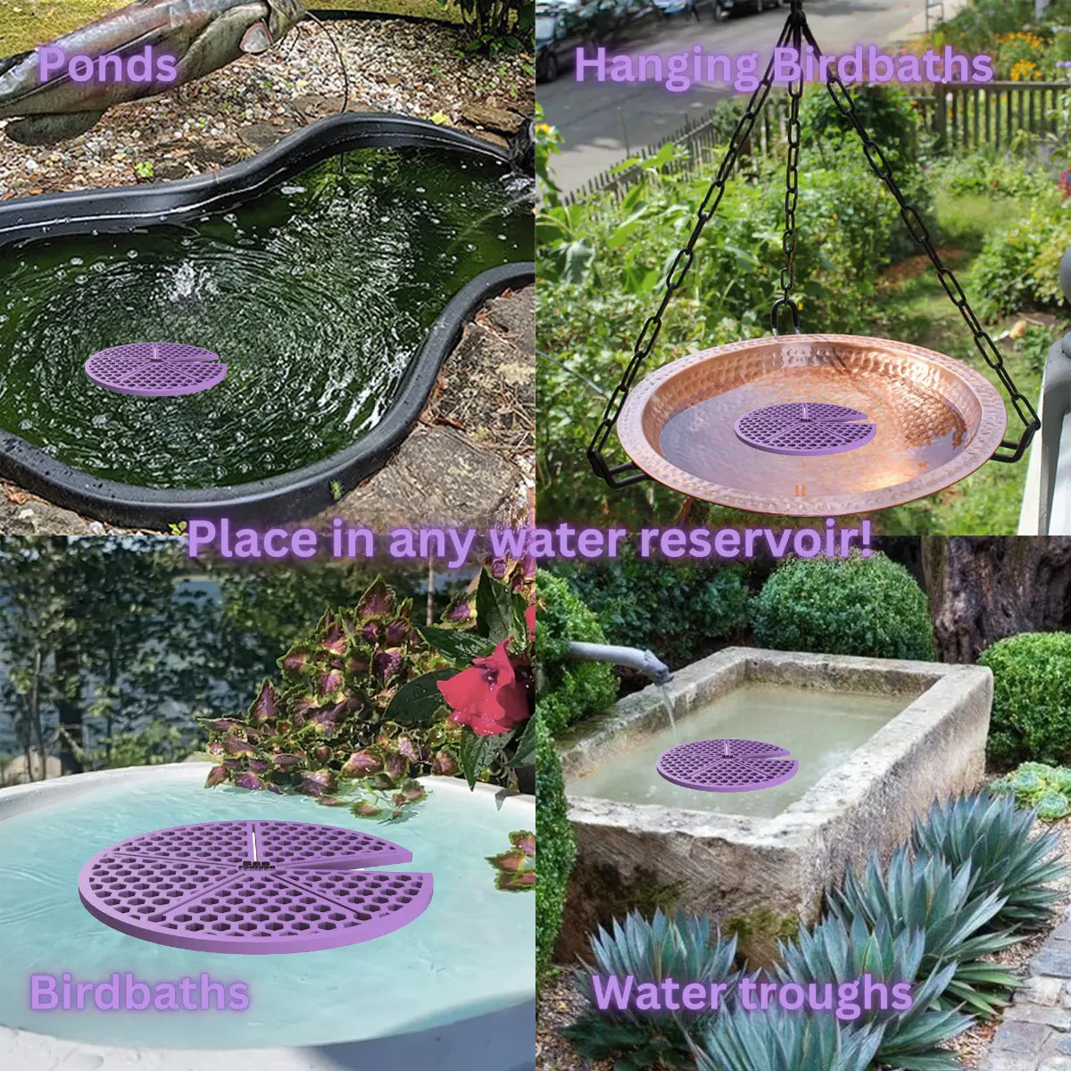 The artwork features a collage of various water reservoirs, each containing a purple lilypad-shaped bee watering station, along with text labels.