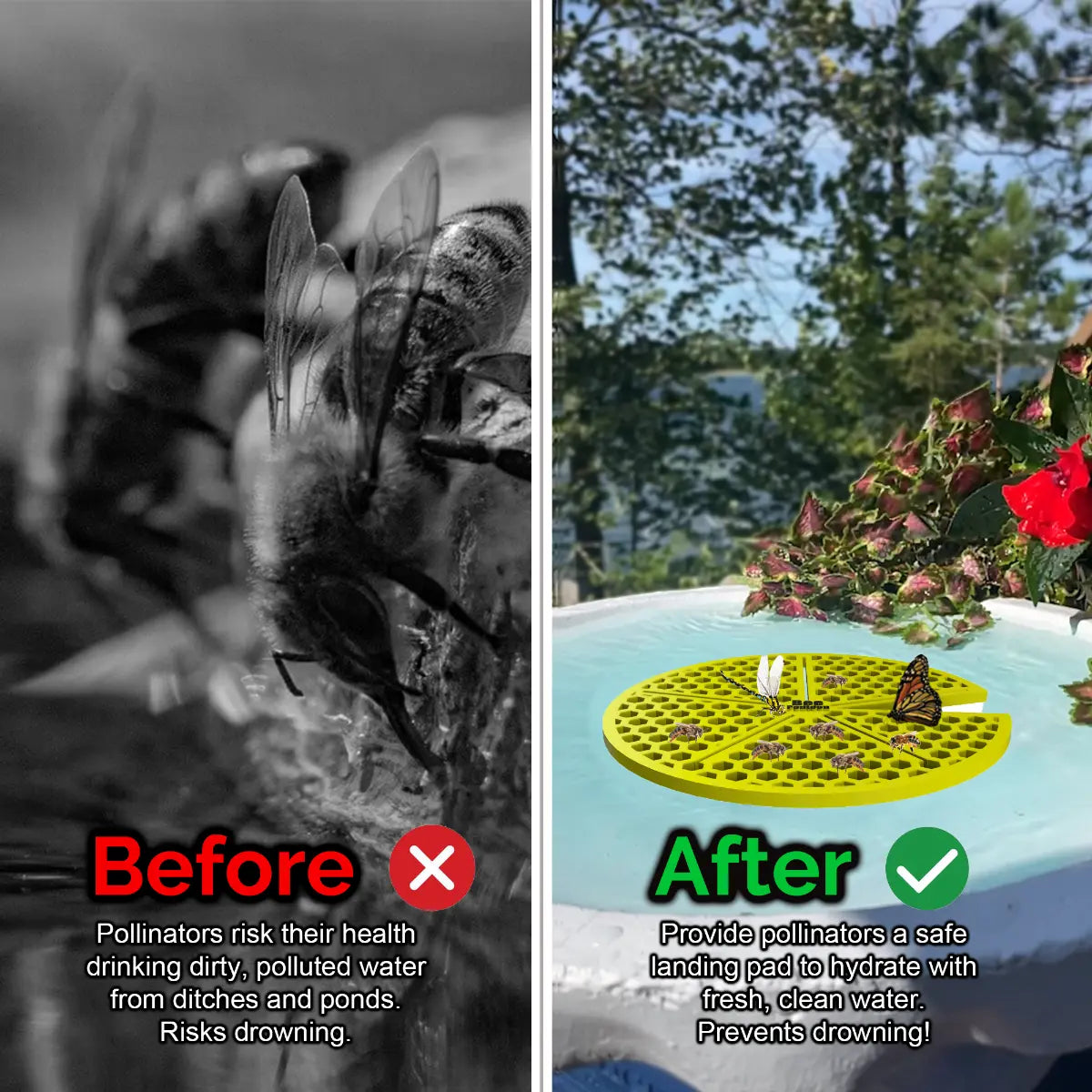 Before and after comparison of a bee drinking from dirty water and a butterfly on a clean water source and a yellow lilypad-shaped bee pontoon (bee watering station) with flowers.