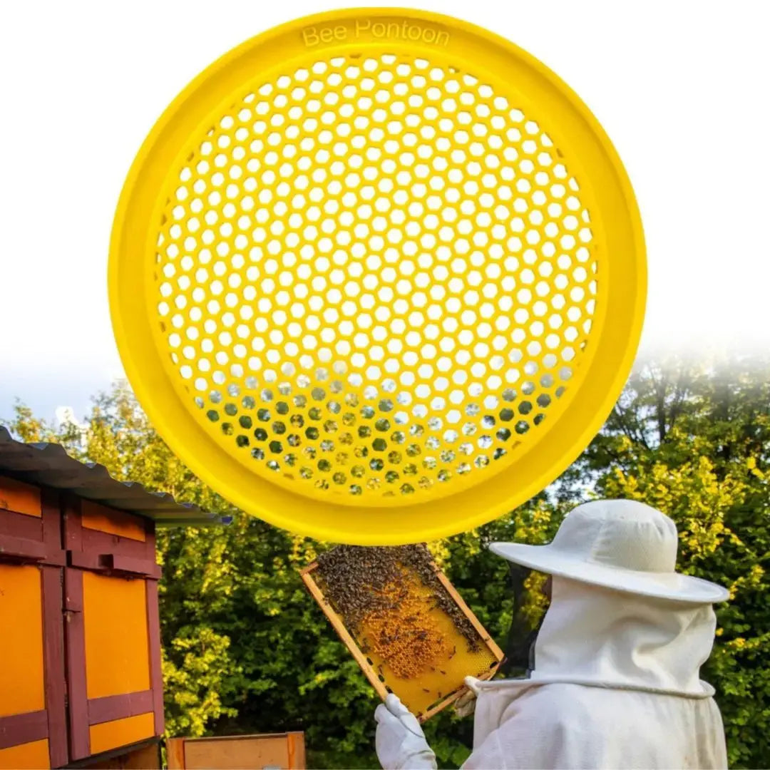 A person in a beekeeping suit holding a honeycomb frame with a large yellow circular-shaped bee pontoon (bee watering station) in front.