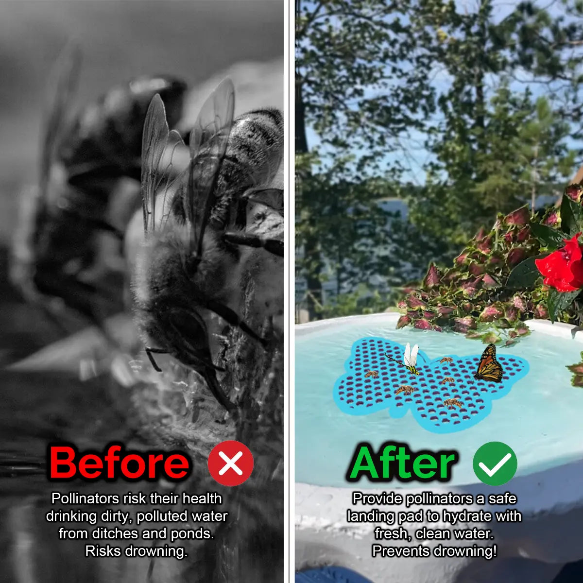 Before and after comparison of a bee drinking from dirty water and a butterfly on a clean water source and a blue butterfly-shaped bee pontoon (bee watering station) with flowers.