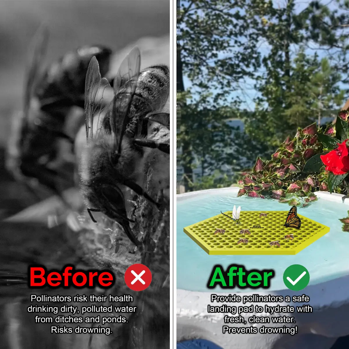Before and after comparison of a bee drinking from dirty water and a butterfly on a clean water source and a yellow honeycomb-shaped bee pontoon (bee watering station) with flowers.