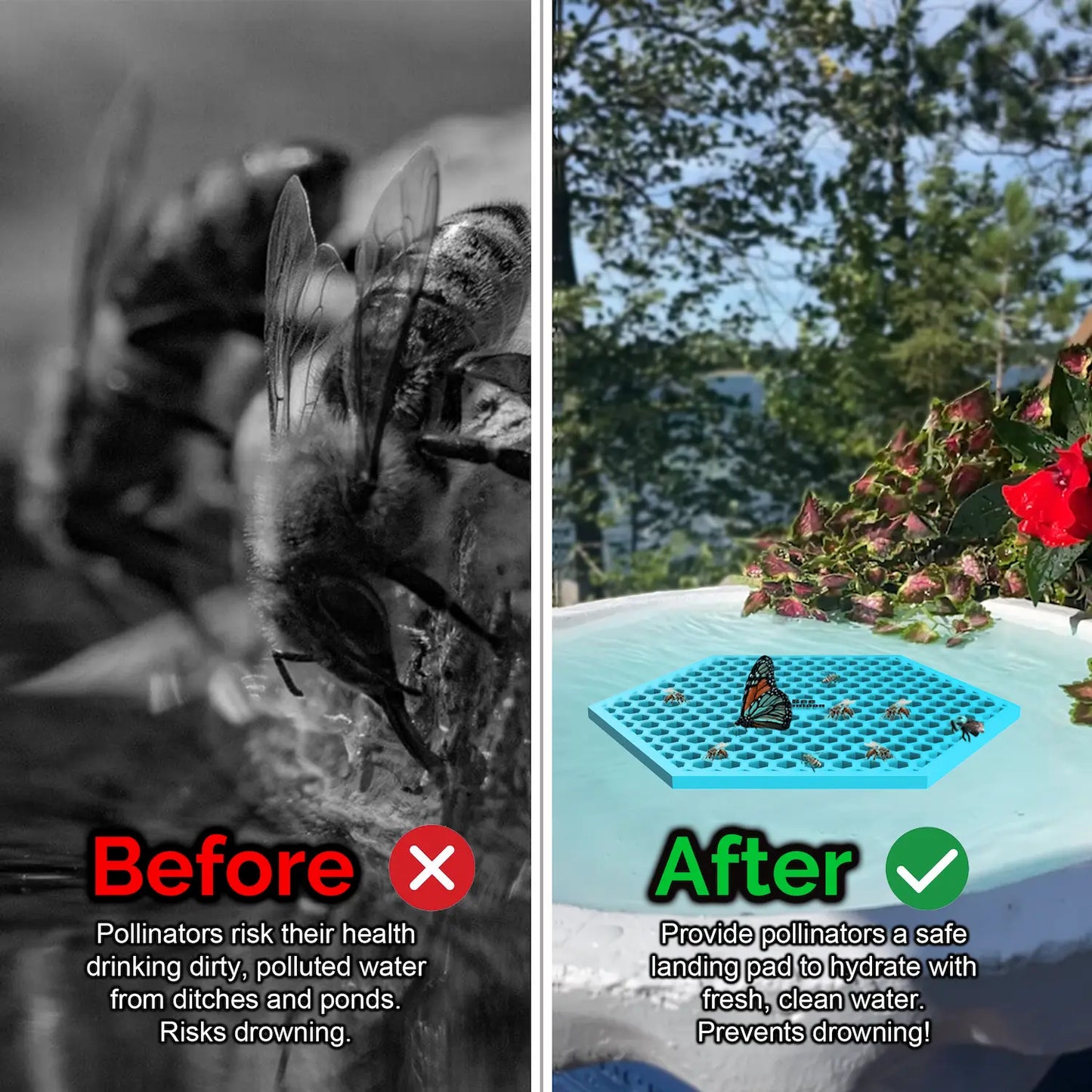 Before and after comparison of a bee drinking from dirty water and a butterfly on a clean water source and a blue honeycomb-shaped bee pontoon (bee watering station) with flowers.