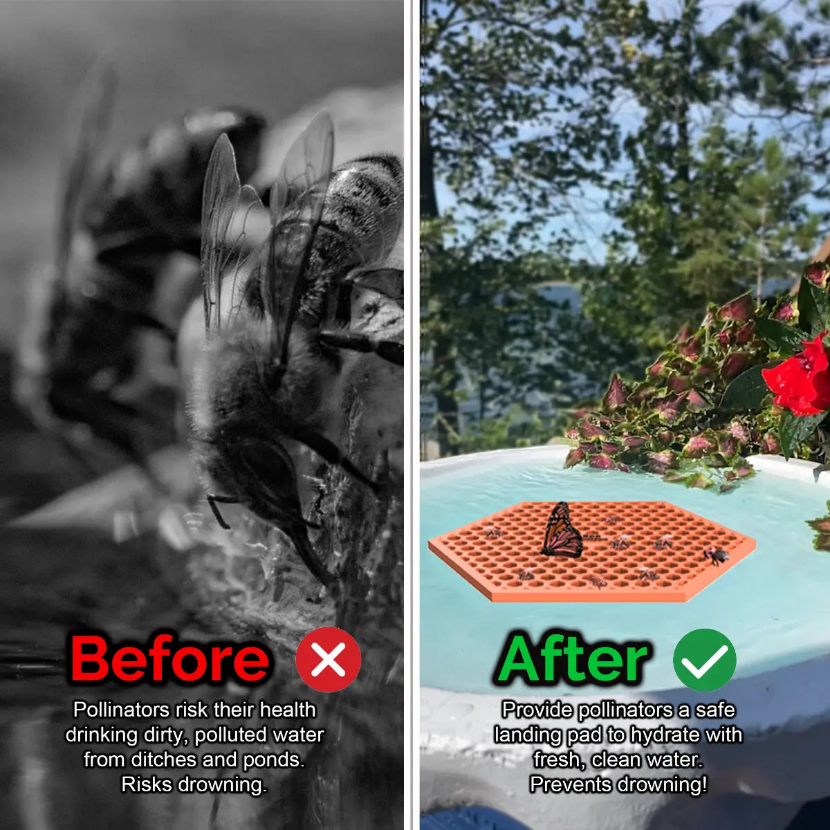 Before and after comparison of a bee drinking from dirty water and a butterfly on a clean water source and an orange honeycomb-shaped bee pontoon (bee watering station) with flowers.