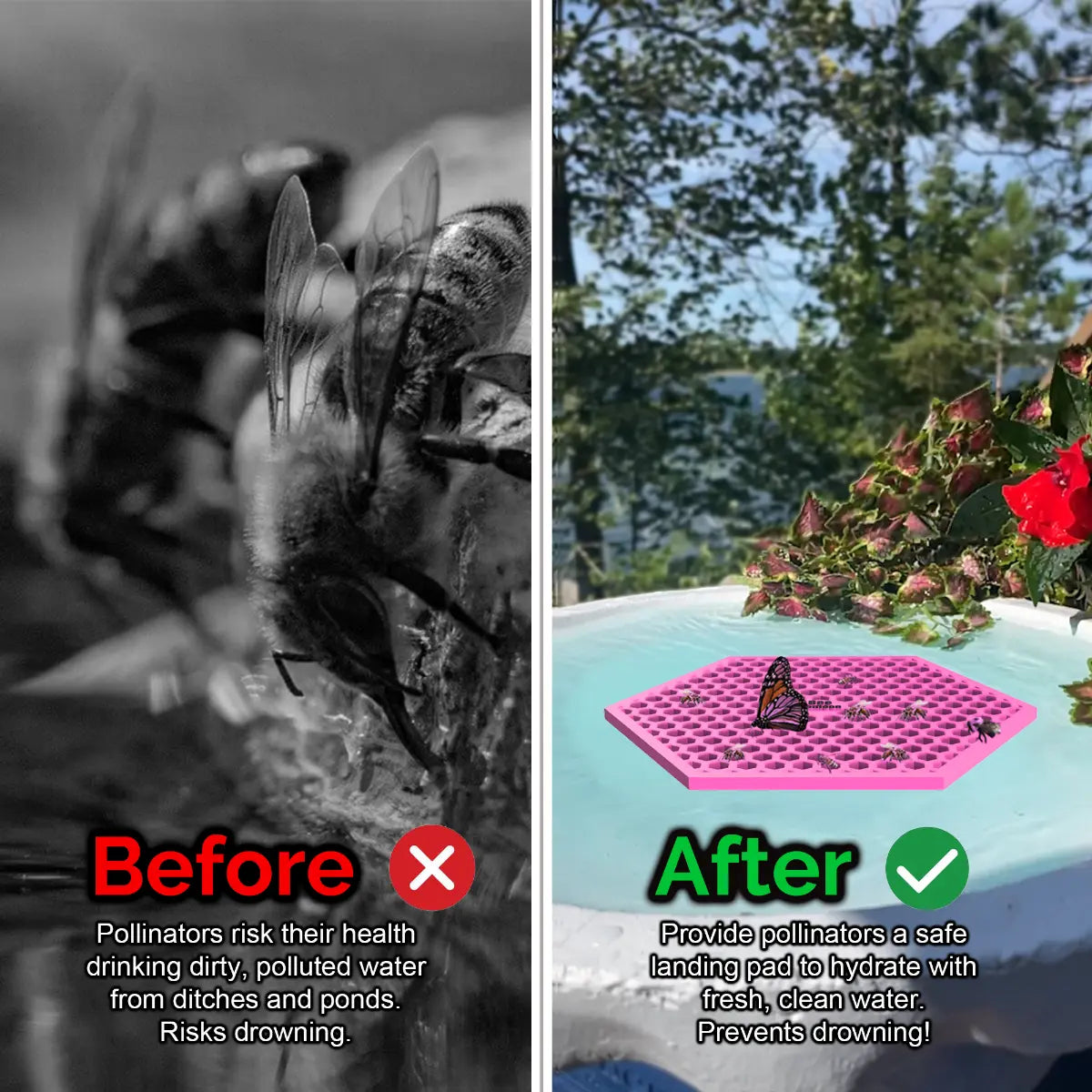 The image presents a before and after comparison of a bee drinking from dirty water and a butterfly on a pink honeycomb-shaped bee pontoon (bee watering station) with fresh water, set against a natural outdoor background.