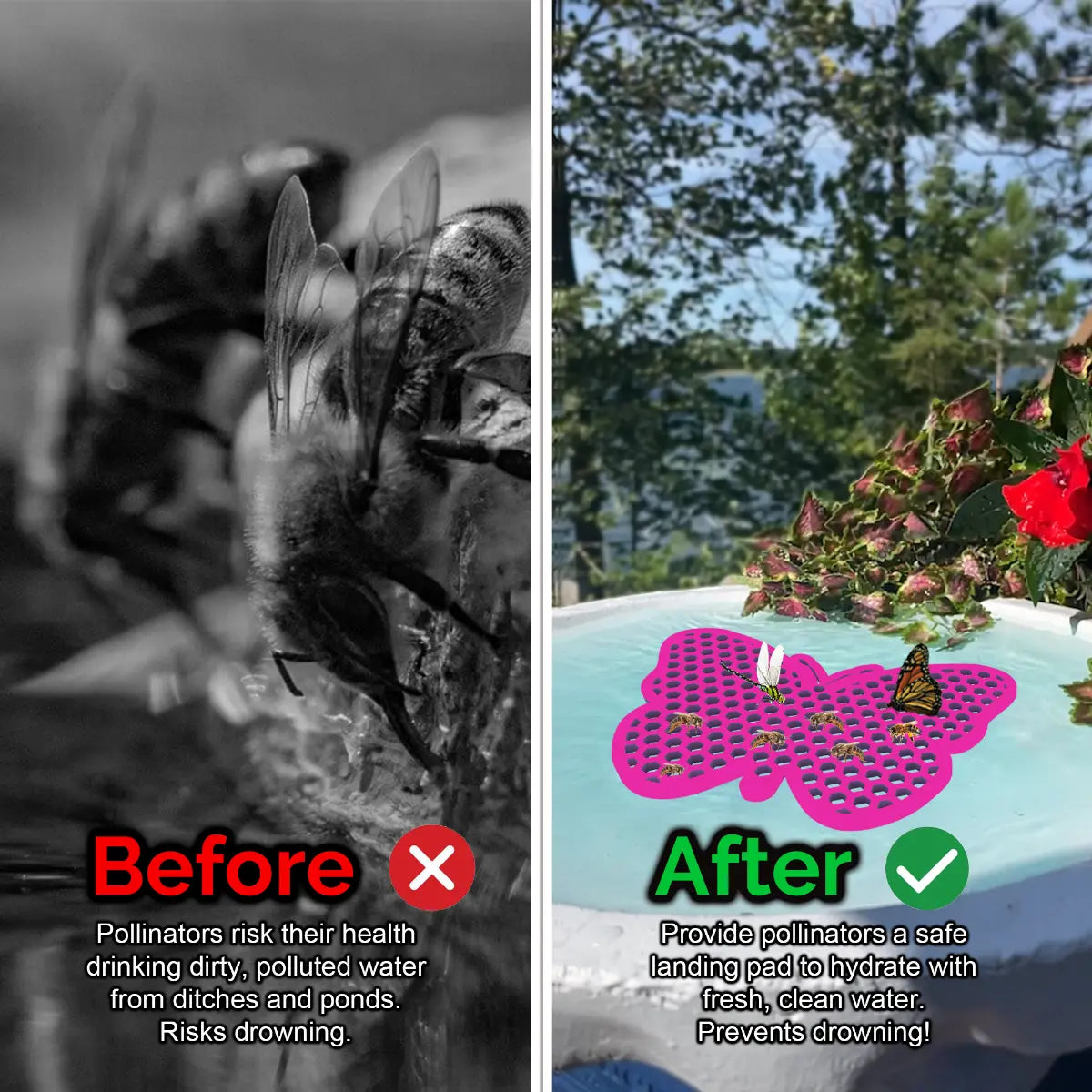 Before and after comparison of pollinators with a pink butterfly-shaped bee pontoon (bee watering station) .