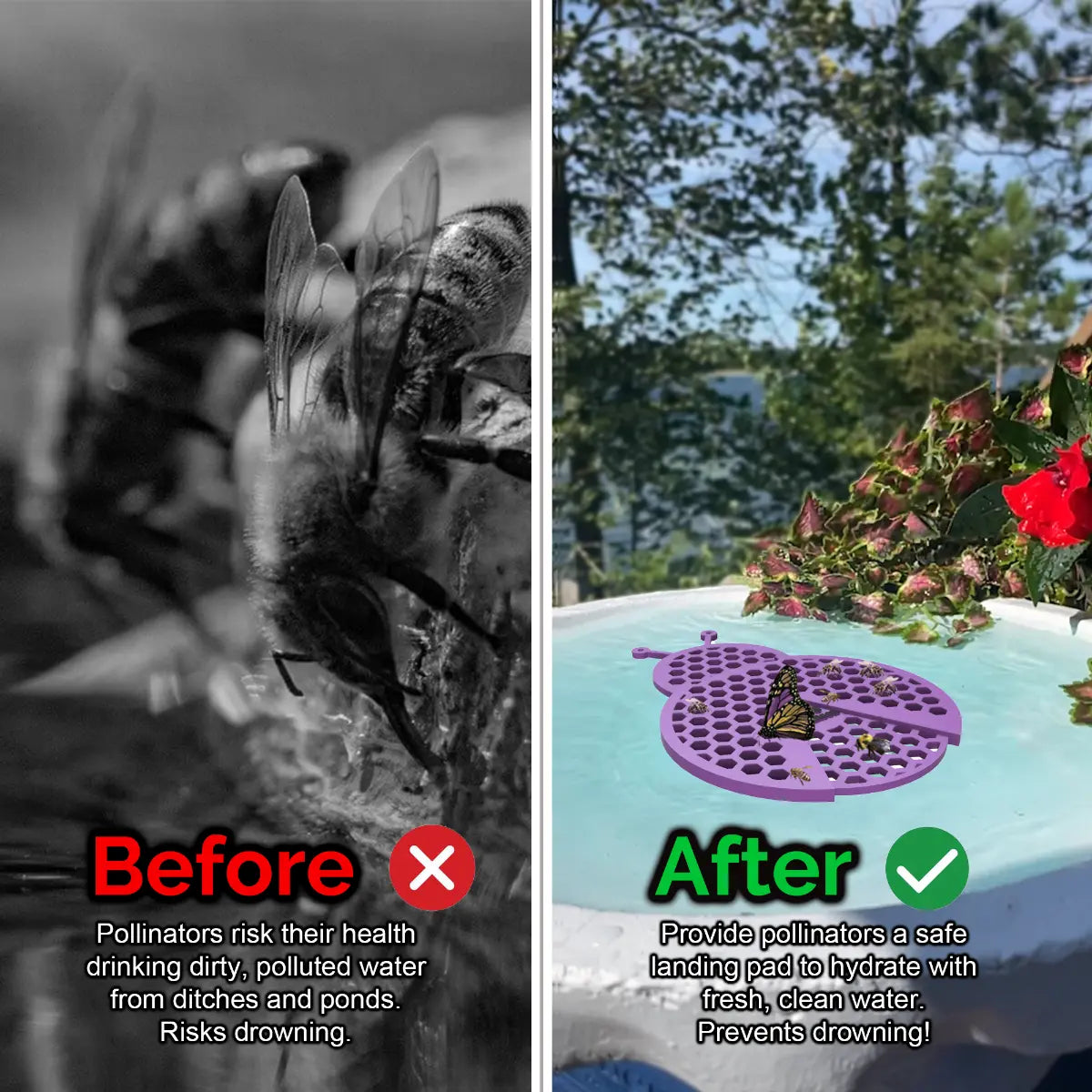 Before and after comparison of a bee drinking from dirty water and a butterfly on a clean water source and a purple ladybug-shaped bee pontoon (bee watering station) with flowers.